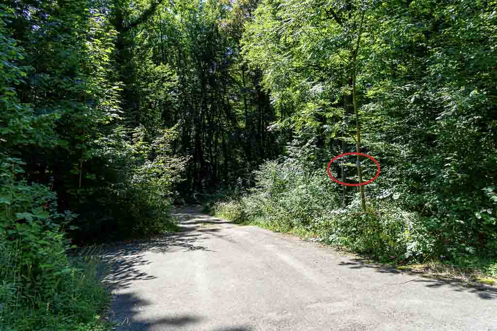 Watch Your Way pic